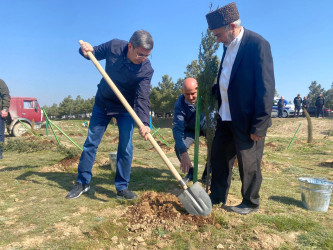 2026-cı il tədbirlər