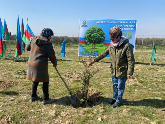 2026-cı il tədbirlər