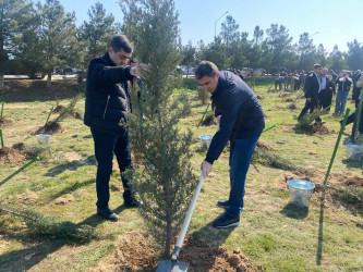 2026-cı il tədbirlər